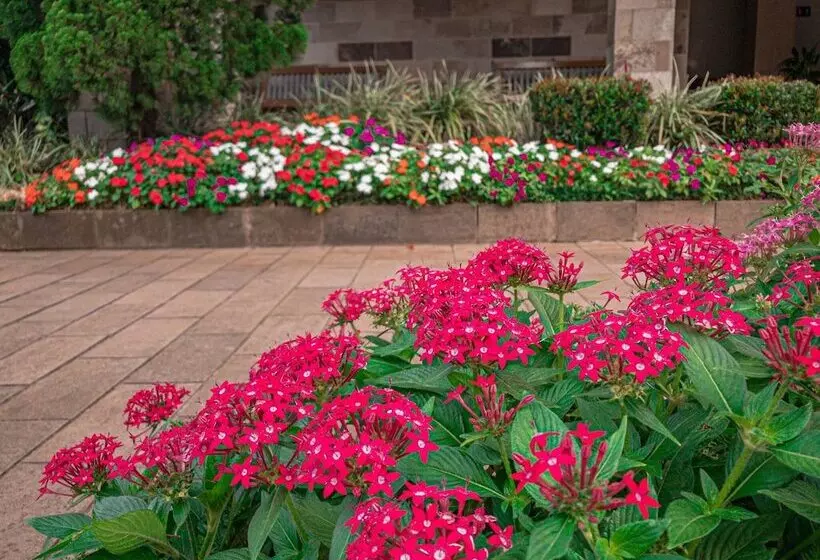 Hotelli Pousada Serrana