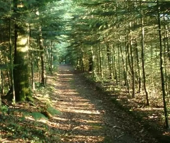 Majatalo The Archeologist Home Chateau Le Mur