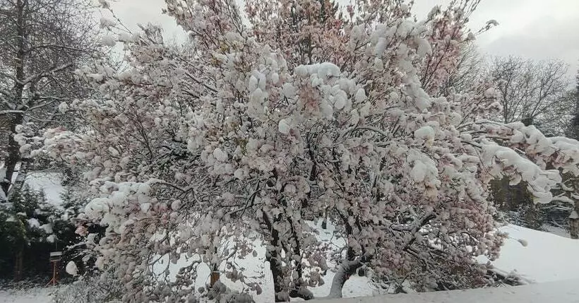 Privat Pension Doemens