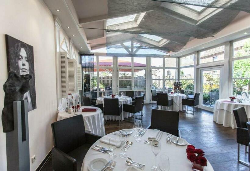 Отель Hensens Residenz