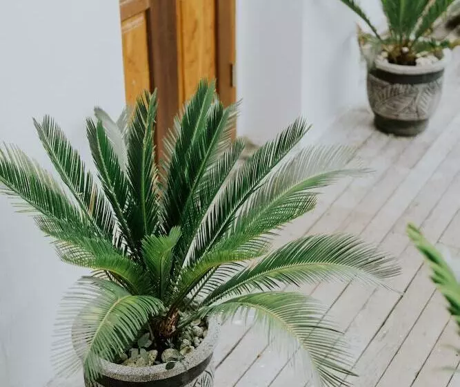 ホテル Lanussa Hill Villa