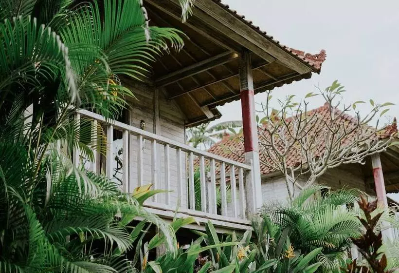 ホテル Lanussa Hill Villa