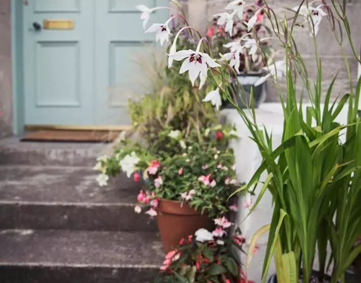 Aamiaismajoitus (B&B) Washington House