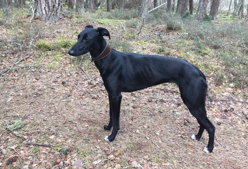 مبيت وإفطار Washington House