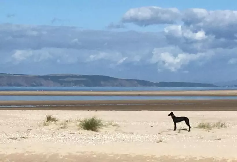 Aamiaismajoitus (B&B) Washington House