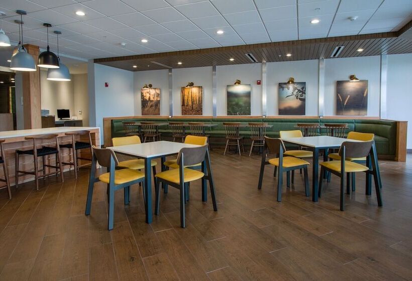 酒店 Fairfield Inn & Suites Duncan