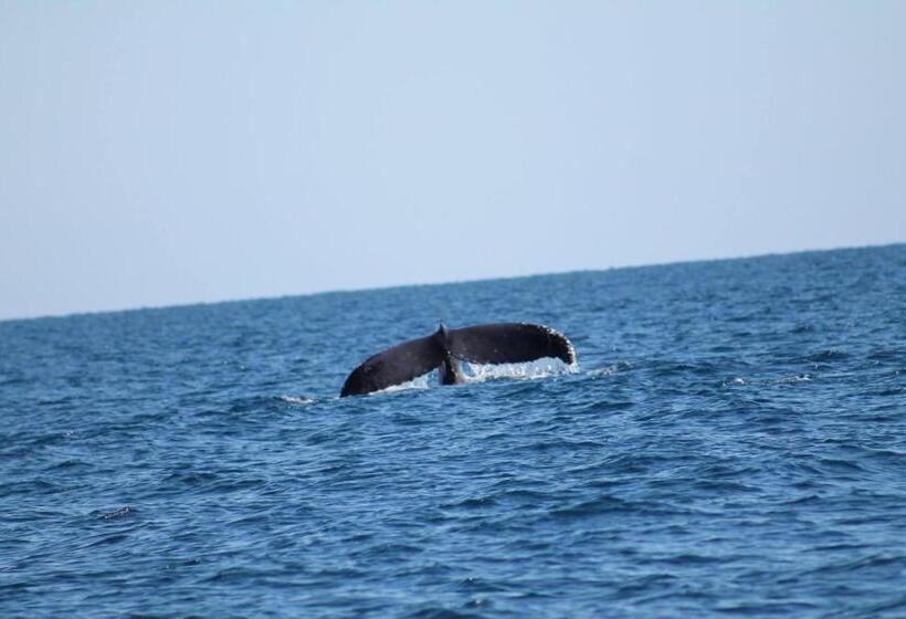 Отель The Cove Holiday Village