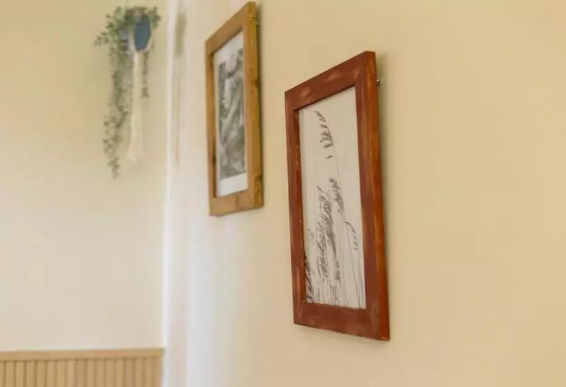 تختخواب و صبحانه Birdhouse