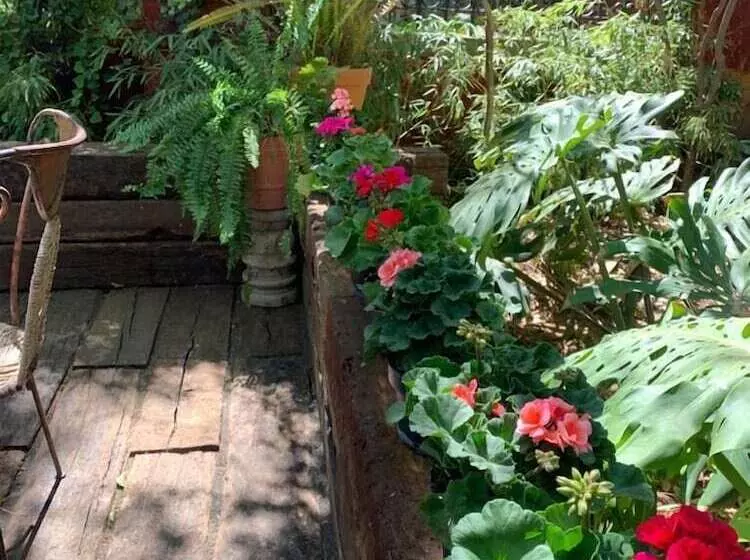 田舎風ホテル Hacienda Tzintzimeo