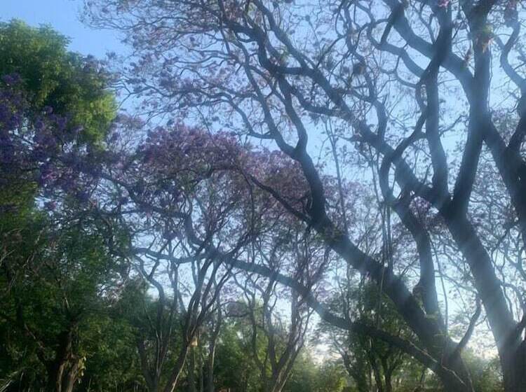 فندق ريفى Hacienda Tzintzimeo