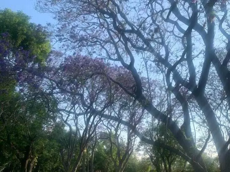田舎風ホテル Hacienda Tzintzimeo