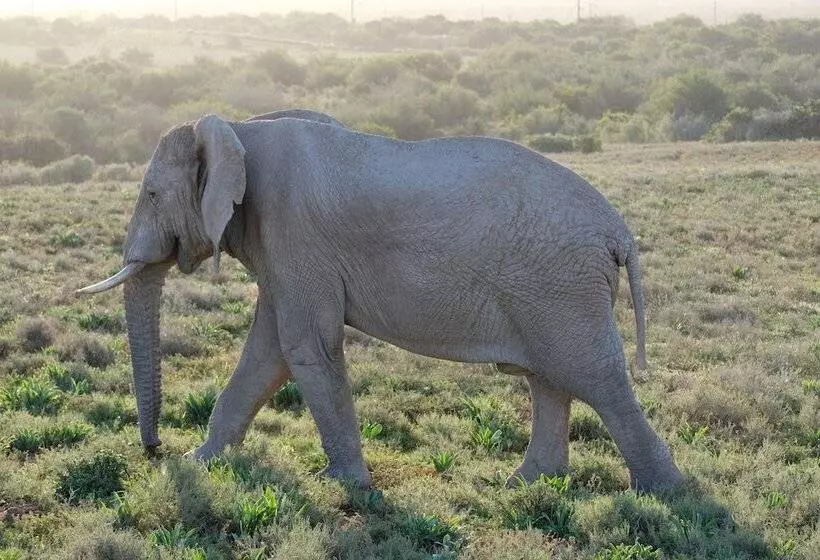 پانسیون Seven Fountains Farm