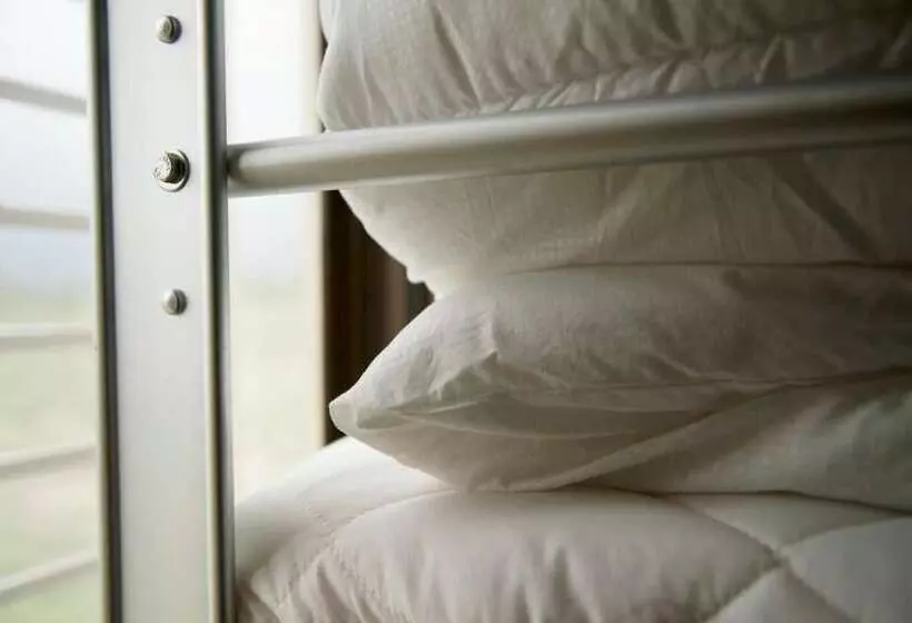 Hopemonkey Hostel
