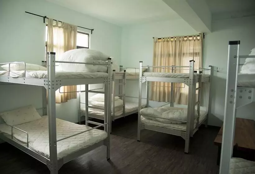 Hopemonkey Hostel