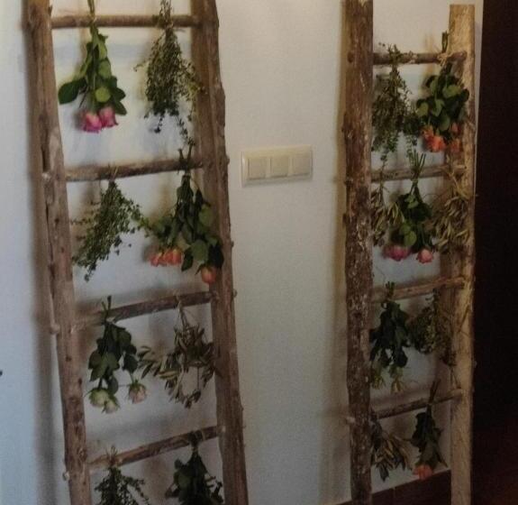 Rural Cascadas De Tobera