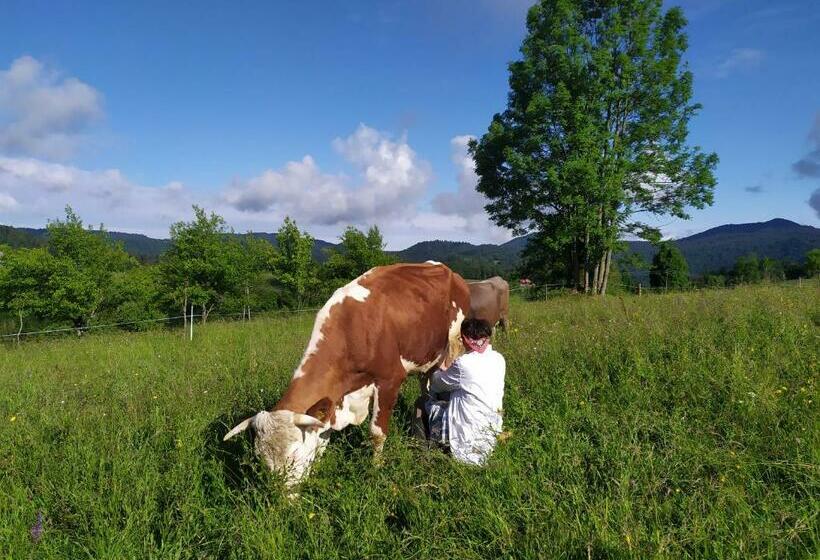 پانسیون Tourist Farm Strle With Great Local Food