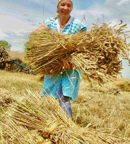 پانسیون Tourist Farm Strle With Great Local Food