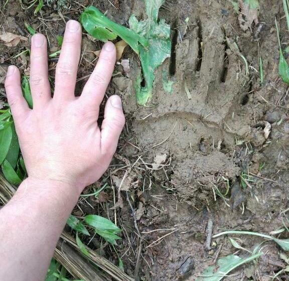 پانسیون Tourist Farm Strle With Great Local Food