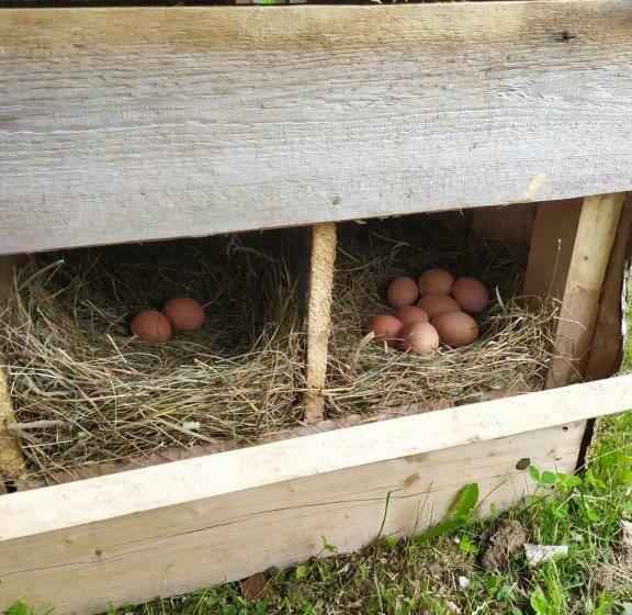 پانسیون Tourist Farm Strle With Great Local Food