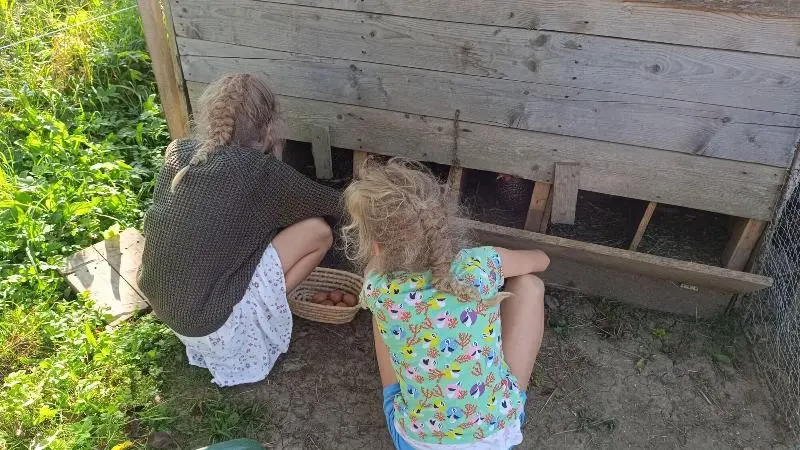 پانسیون Tourist Farm Strle With Great Local Food