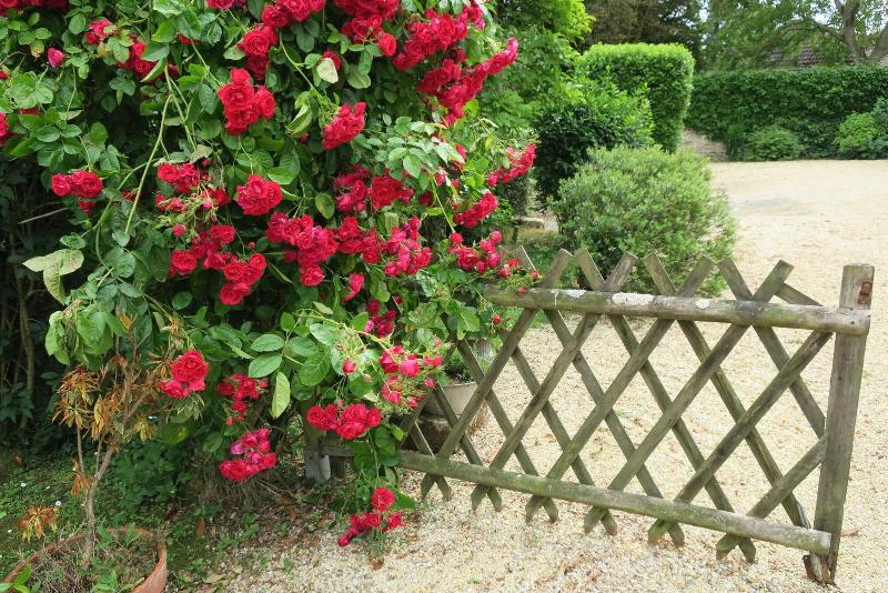 مبيت وإفطار Hebergement Insolite La Naomath