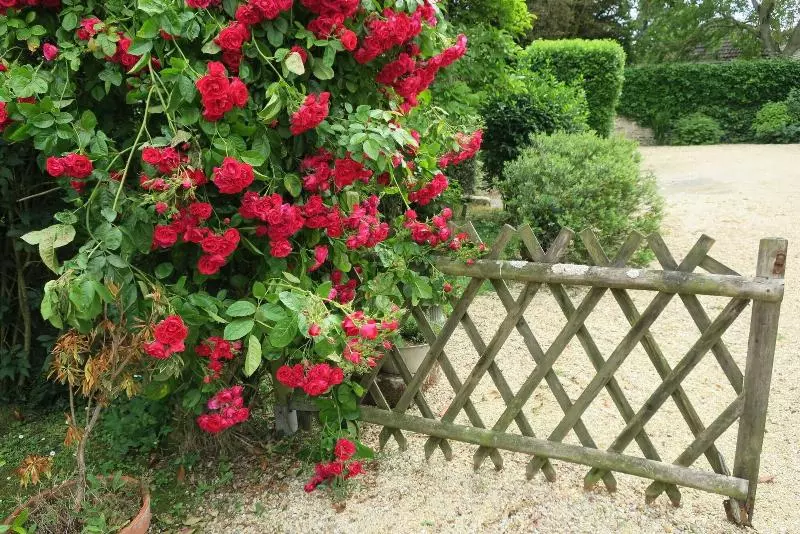 Aamiaismajoitus (B&B) Hebergement Insolite La Naomath