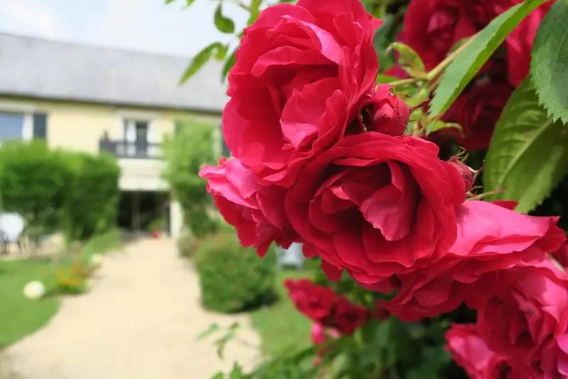 Aamiaismajoitus (B&B) Hebergement Insolite La Naomath