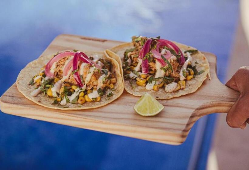 הוסטל The Salty Pelican Yoga & Surf Retreat