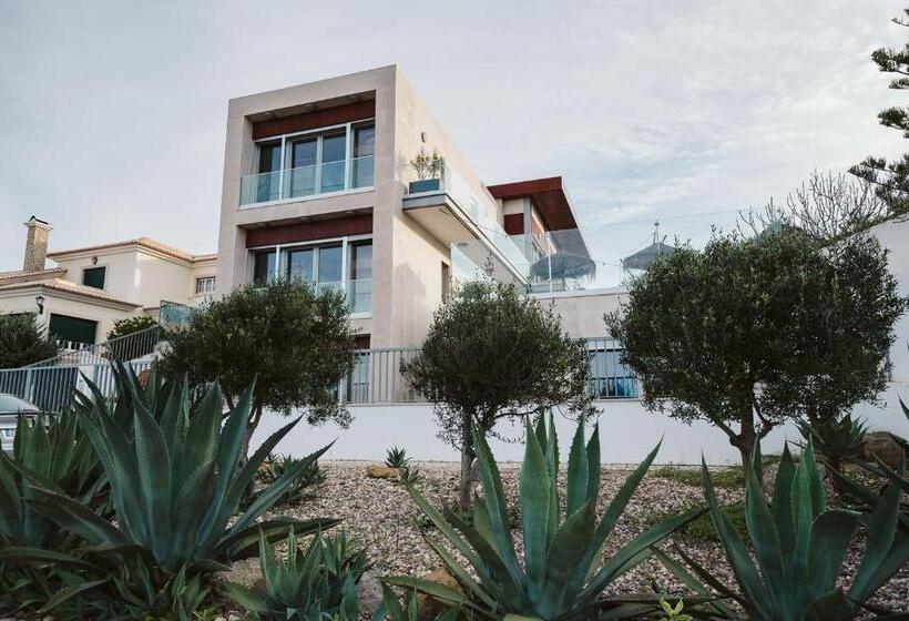 הוסטל The Salty Pelican Yoga & Surf Retreat