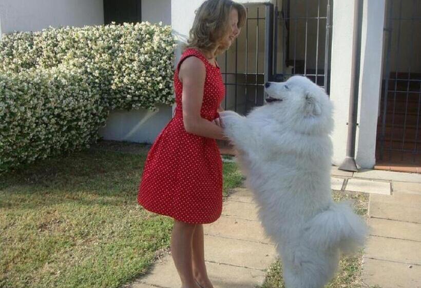 אתר נופש Caliente