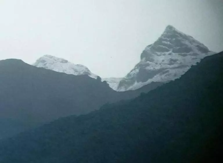 ユースホステル Glamping Rustiko