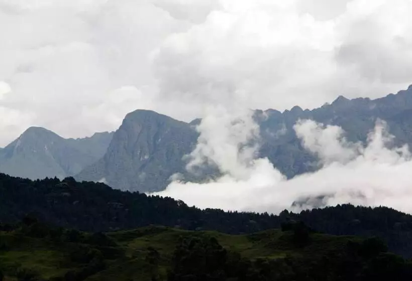 ユースホステル Glamping Rustiko