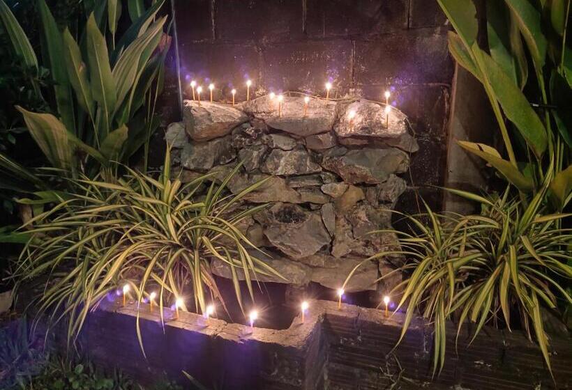 فندق Meexok And Amanda