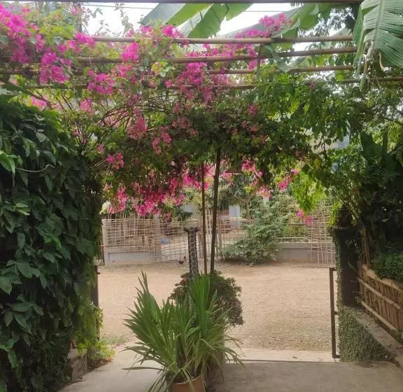 ホテル Meexok And Amanda