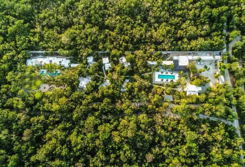 Jungle Lodge Boutique Hotel   Adults Only