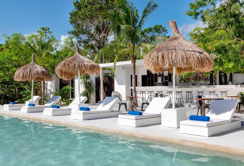 Jungle Lodge Boutique Hotel   Adults Only