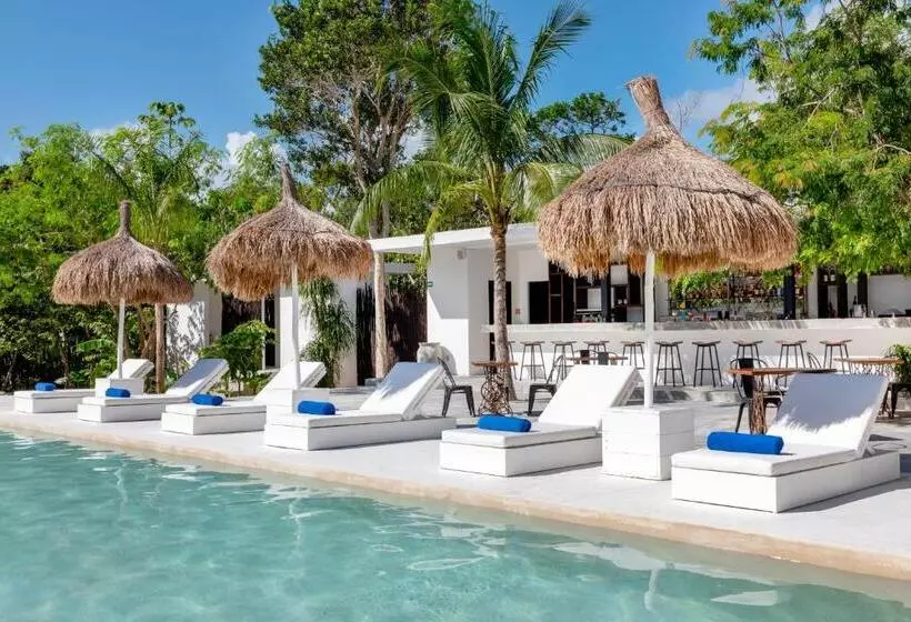 Jungle Lodge Boutique Hotel   Adults Only