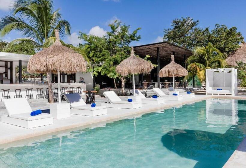 Jungle Lodge Boutique Hotel   Adults Only