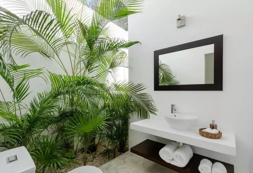 Jungle Lodge Boutique Hotel   Adults Only