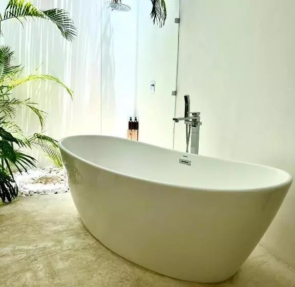 Jungle Lodge Boutique Hotel   Adults Only