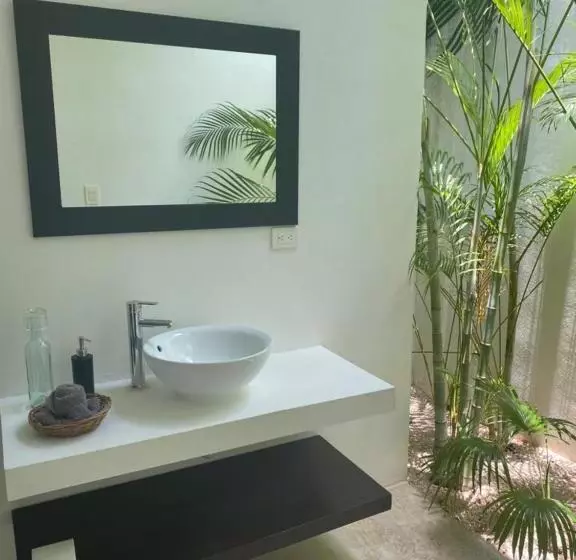 Jungle Lodge Boutique Hotel   Adults Only