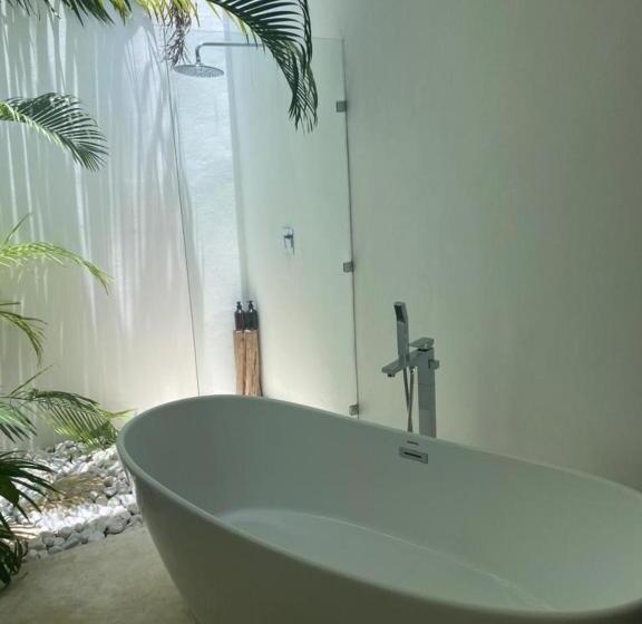 Jungle Lodge Boutique Hotel   Adults Only