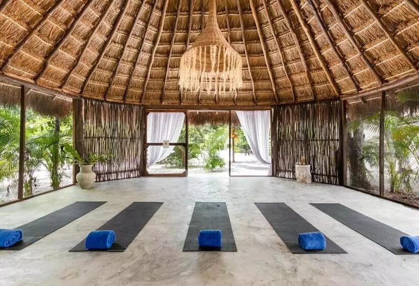 Jungle Lodge Boutique Hotel   Adults Only