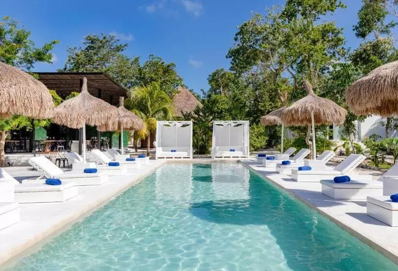 Jungle Lodge Boutique Hotel   Adults Only