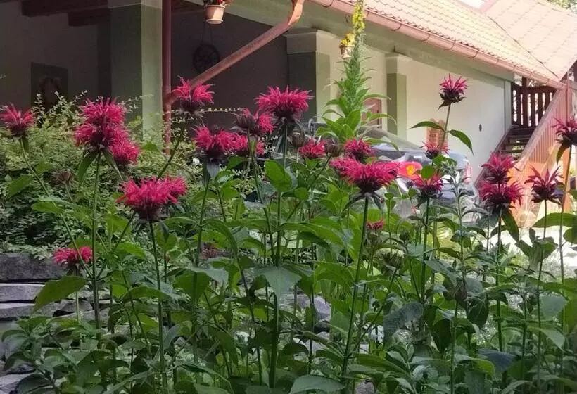 Majatalo Pivnica A Penzion Pri Studni