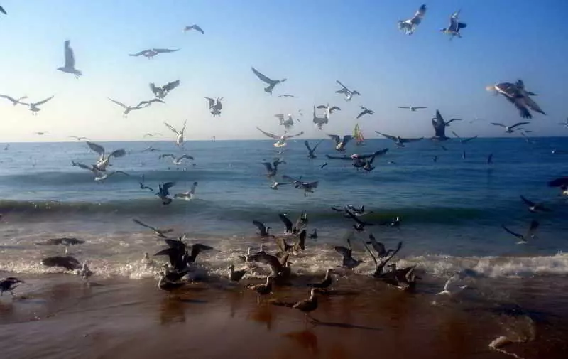 Apartamentos Leo Velamayor