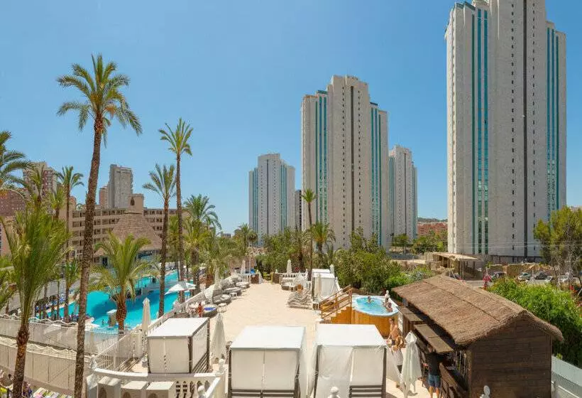 Magic Tropical Splash