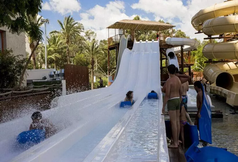 Magic Tropical Splash