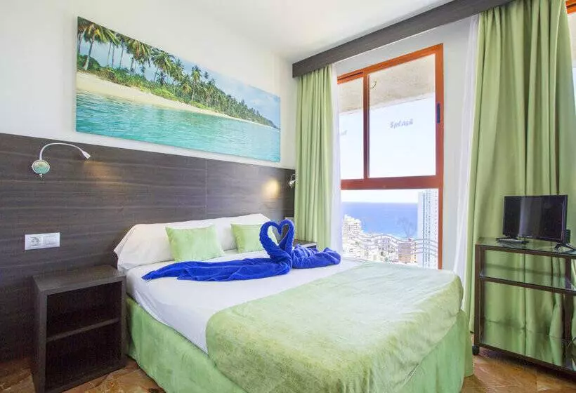 Magic Tropical Splash