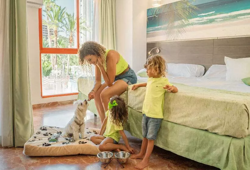 Magic Tropical Splash